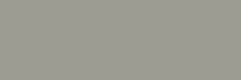 Anodic Silver — EW229N