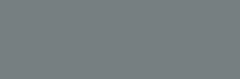 GM Grey — EL050N