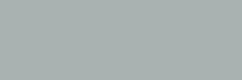 Metallic Silver — EW210N