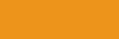 RAL 1007 — JE241N